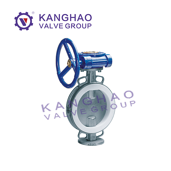 Half lined butterfly valve