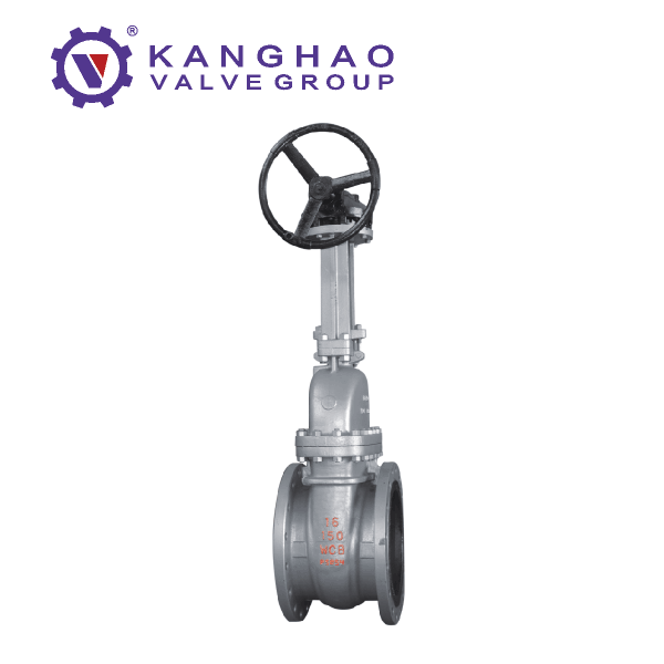 Worm gear flange gate valve (2)