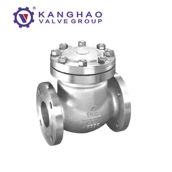 (2)American Standard Check Valve