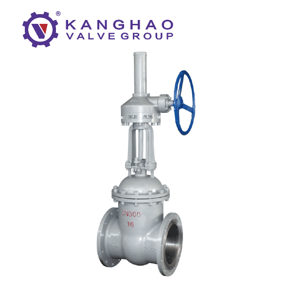 Worm gear flange gate valve