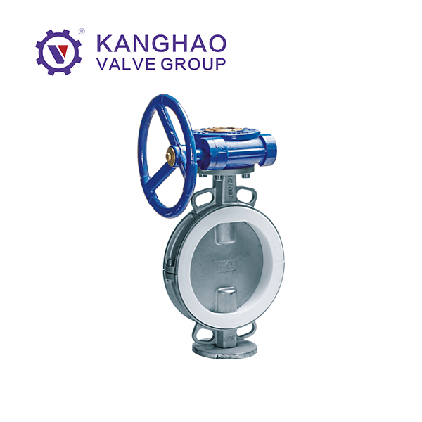 Half lined butterfly valve
